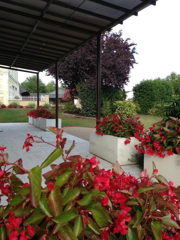 Logis Hotel Restaurant L'Oree Des Bois La Breille-les-Pins Bagian luar foto